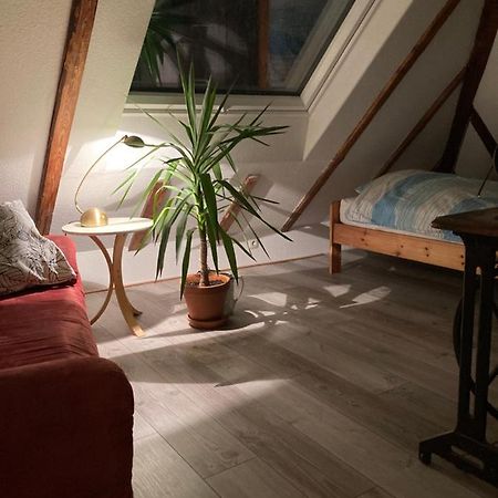 Privates Appartment Ferienwohnung Im Einfamilienhaus Düsseldorf Exterior foto